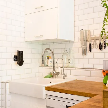 Superbe T4 Scandinave Au Bord De L'eau Strasbourg